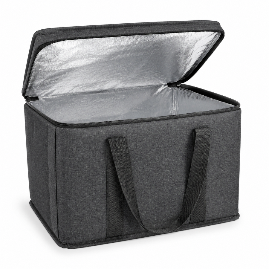 Insulated Car Storage Bag
